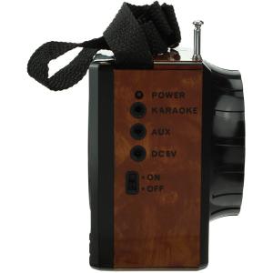 Сигнал VIKEND Fisher Радиоприемник/фонарь 9свд, 220V, USB, SD