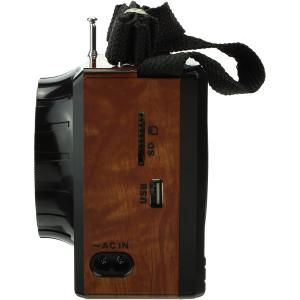 Сигнал VIKEND Fisher Радиоприемник/фонарь 9свд, 220V, USB, SD