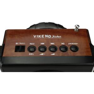 Сигнал VIKEND Fisher Радиоприемник/фонарь 9свд, 220V, USB, SD