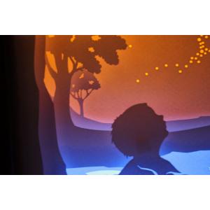 Ночной светильник Лайтбокс "Мечта" с пультом (светлый орех)