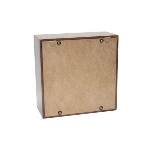 Ночной светильник Лайтбокс "Зенит" (венге)