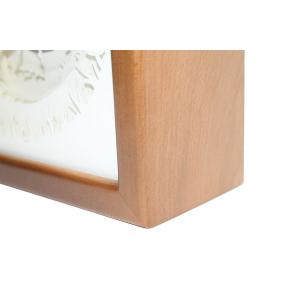 Ночной светильник Лайтбокс "Фея" с пультом (темный орех)