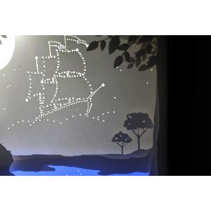 Ночной светильник Лайтбокс "Мечта" с пультом (венге)