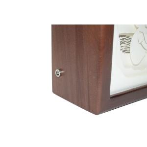 Ночной светильник Лайтбокс "Мечта" с пультом (венге)