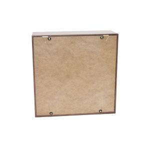 Ночной светильник Лайтбокс "Мечта" с пультом (венге)