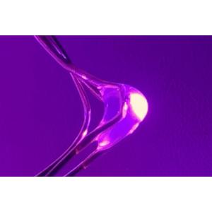 Гирлянда "Роса" 100 СВД 10метров, цвет розовый