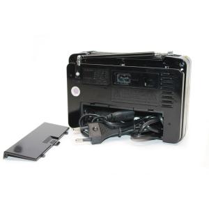 Радио RX-607AC Golon 220V