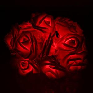 Гирлянда 20 свд, 3 метра, розы, красная