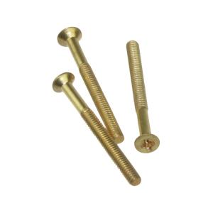 Болт с потайной головкой М1,6х22мм (10шт) gold