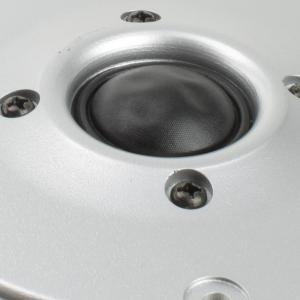 Динамик TW-318 8 Ом