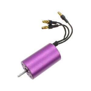 Двигатель бесколлекторный Apex Hobby 4200KV 1:16 (автомодельный)