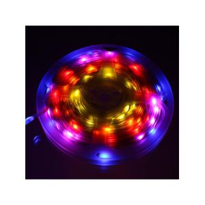 Гирлянда умная 100 свд, 10 метров, цвет RGB, пульт, Bluetooth