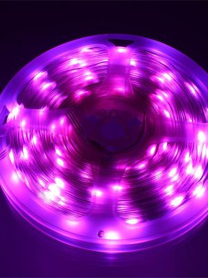 Гирлянда умная 100 свд, 10 метров, цвет RGB, пульт, Bluetooth