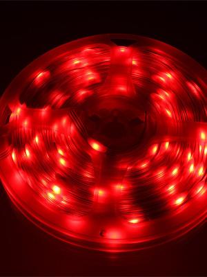 Гирлянда умная 100 свд, 10 метров, цвет RGB, пульт, Bluetooth