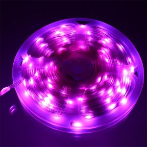 Гирлянда умная 100 свд, 10 метров, цвет RGB, пульт, Bluetooth