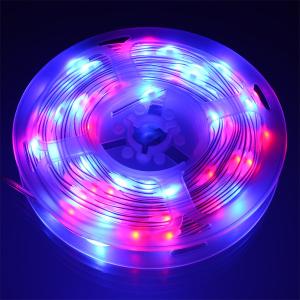 Гирлянда умная 100 свд, 10 метров, цвет RGBY, Bluetooth