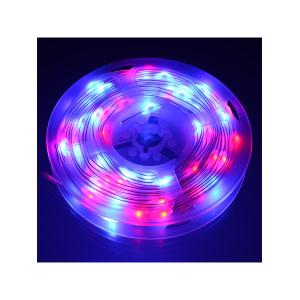 Гирлянда умная 100 свд, 10 метров, цвет RGBY, Bluetooth