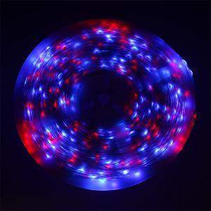 Гирлянда умная 500 свд, 50 метров, цвет RGBY, Bluetooth