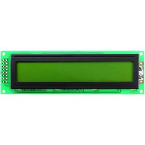 ЖКИ 2 строки 24 символов DataVision DV-24200S1FBLY/R22
