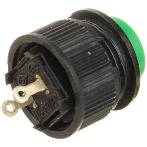 Кнопка d10мм зеленый без фиксации дудка 2конт 250В 1А