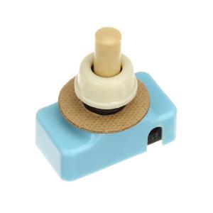 Кнопка сетевая СССР 250V/1A