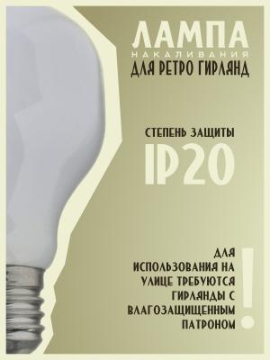 Лампа 60W E27 T60 230V 550Лм Philips Softone blue