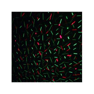 Лазерное шоу EMS-07 цвет зеленый, красный точки