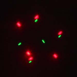 Лазерное шоу программа, цвет зеленый, красный, желтый, фиолетовый, мультимедия