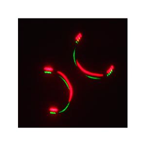 Лазерное шоу программа, цвет зеленый, красный, желтый, фиолетовый, мультимедия