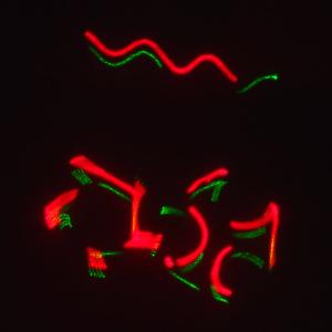 Лазерное шоу программа, цвет зеленый, красный, желтый, фиолетовый, мультимедия