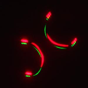 Лазерное шоу программа, цвет зеленый, красный, желтый, фиолетовый, мультимедия