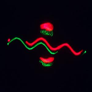 Лазерное шоу программа, цвет зеленый, красный, желтый, фиолетовый, мультимедия