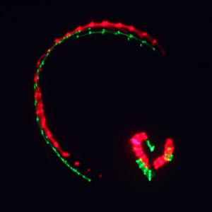 Лазерное шоу программа, цвет зеленый, красный, желтый, фиолетовый, мультимедия