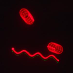 Лазерное шоу программа, цвет зеленый, красный, желтый, фиолетовый, мультимедия