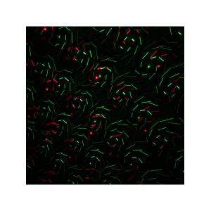 Лазерное шоу уличное, разводы, звездный дождь, 02