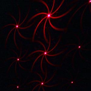 Лазерное шоу уличное, разводы, звездный дождь, 02