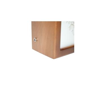 Ночной светильник Лайтбокс "Фея" с пультом (темный орех)