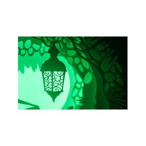 Ночной светильник Лайтбокс "Фея" с пультом (темный орех)