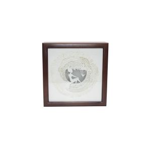 Ночной светильник Лайтбокс "Фея" с пультом (венге)