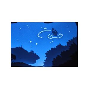 Ночной светильник Лайтбокс "Мечта" с пультом (светлый орех)