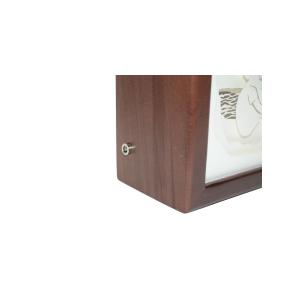 Ночной светильник Лайтбокс "Мечта" с пультом (венге)