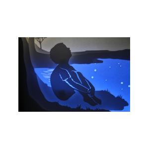 Ночной светильник Лайтбокс "Мечта" с пультом (венге)