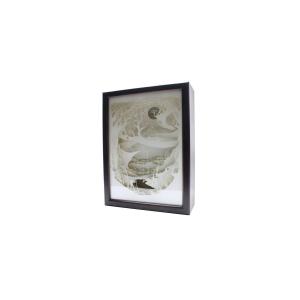 Ночной светильник Лайтбокс "Волшебный мир" (венге)