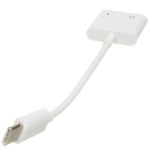 Переходник USB 3.1 Type C - 2Type C(G) гибкий