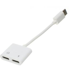 Переходник USB 3.1 Type C - 2Type C(G) гибкий