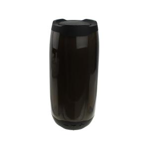 Портативная акустическая система Pluse4, черная