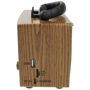 Радио KBroad KTF2015 Meier USB/microSD, Bluetooth, на аккумуляторе