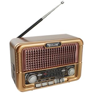 Радио RX-6060BT Golone USB/SD/microSD, ACC