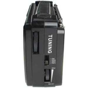 Радио RX-606AC Golon 220V