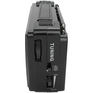 Радио RX-608ACW Golon 220V